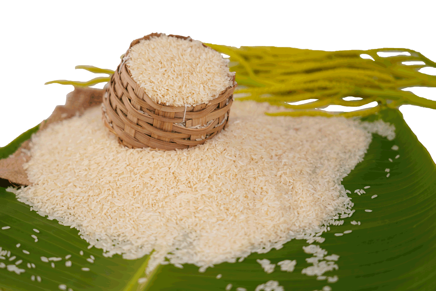 Sona Masoori Diet Rice